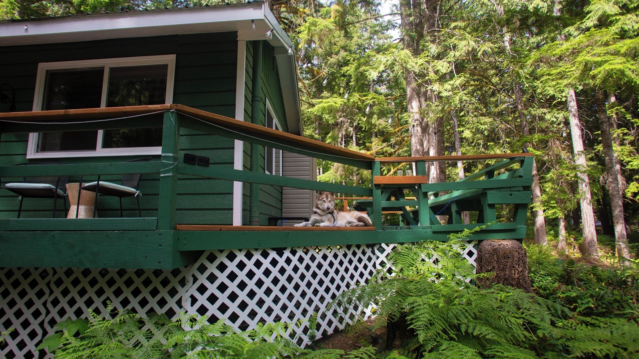 Photo of Others in Marblemount