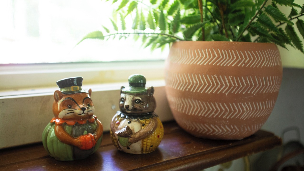 Photo of Others in Marblemount