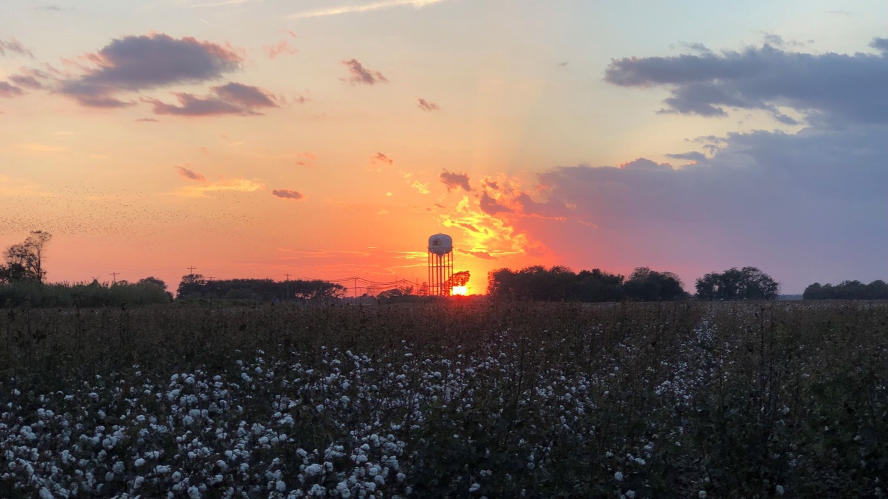 Photo of Outdoor in Clarksdale