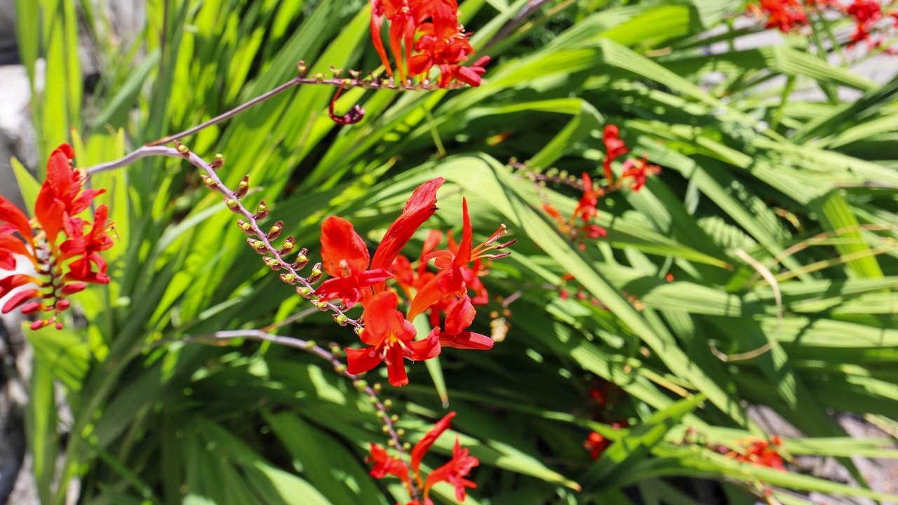 Photo of Outdoor in Old Ballard