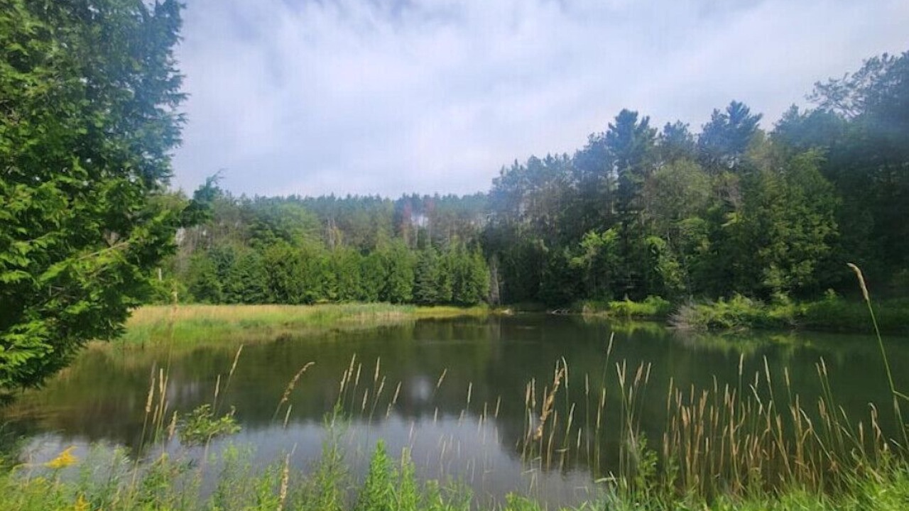 Photo of Others in Terra Nova
