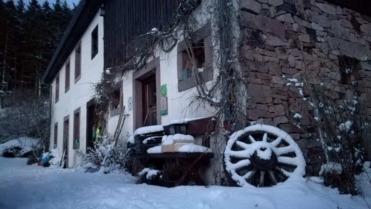 Photo of Outdoor in Labaroche