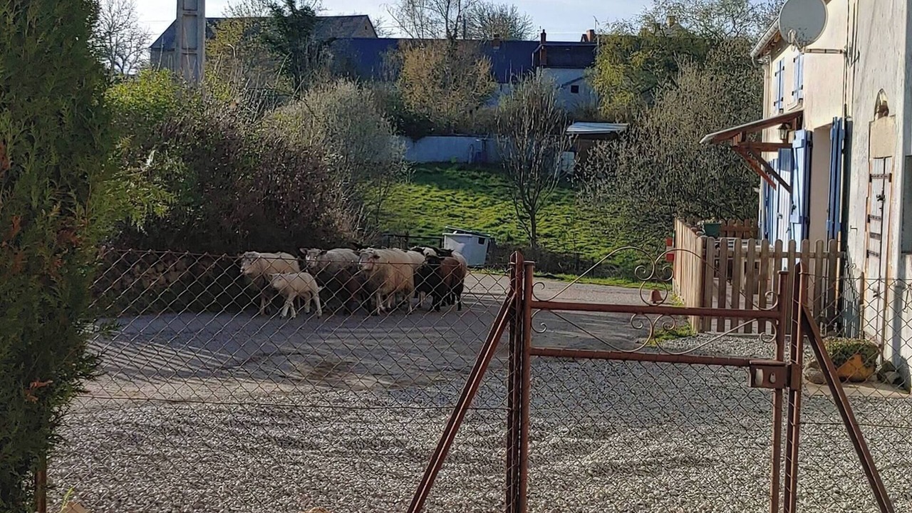 Photo of Outdoor in Pays de Saint-Eloy