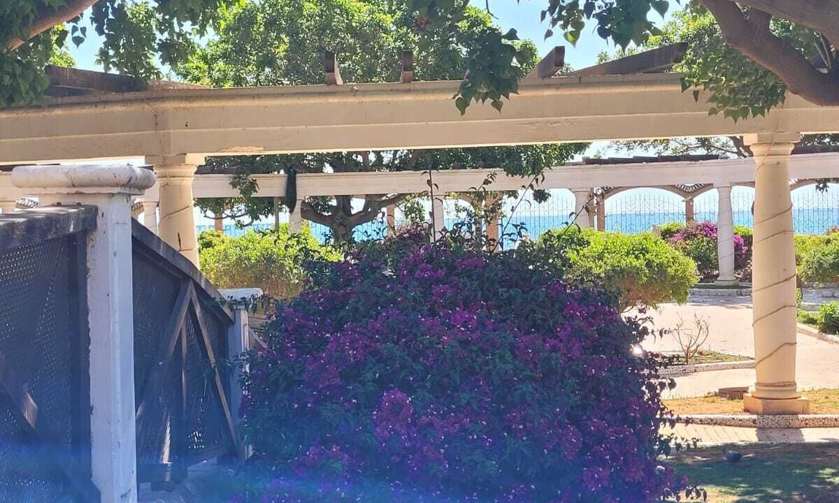 Photo of Outdoor in Benicarlo