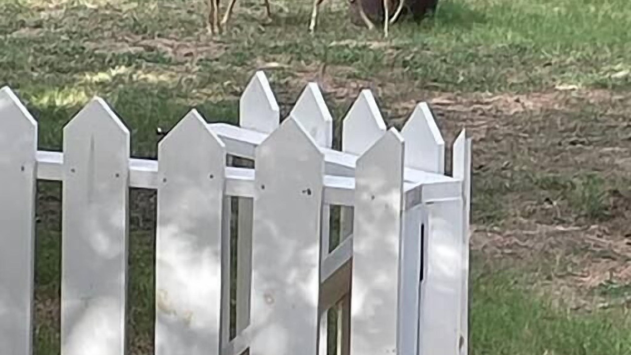 Photo of Others in Bastrop