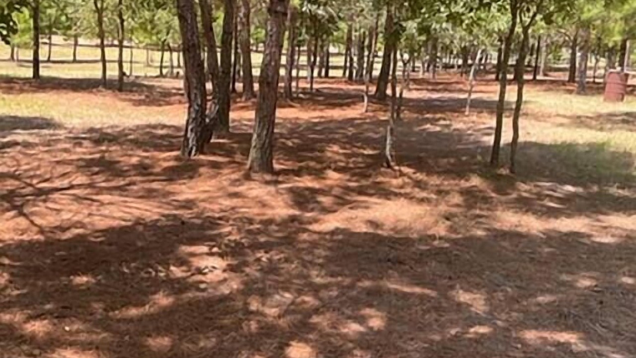 Photo of Others in Bastrop