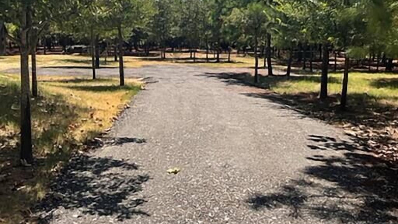 Photo of Others in Bastrop