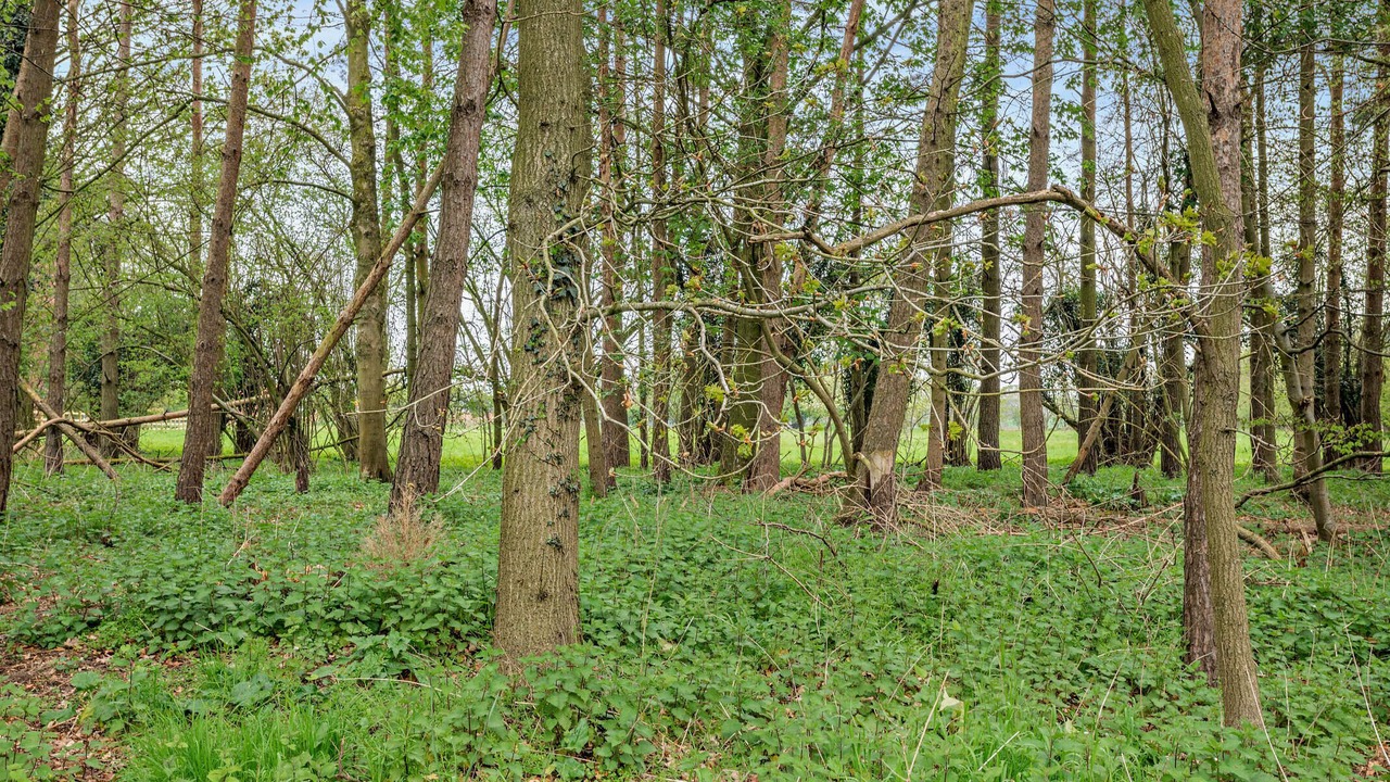 Photo of Others in Hethel