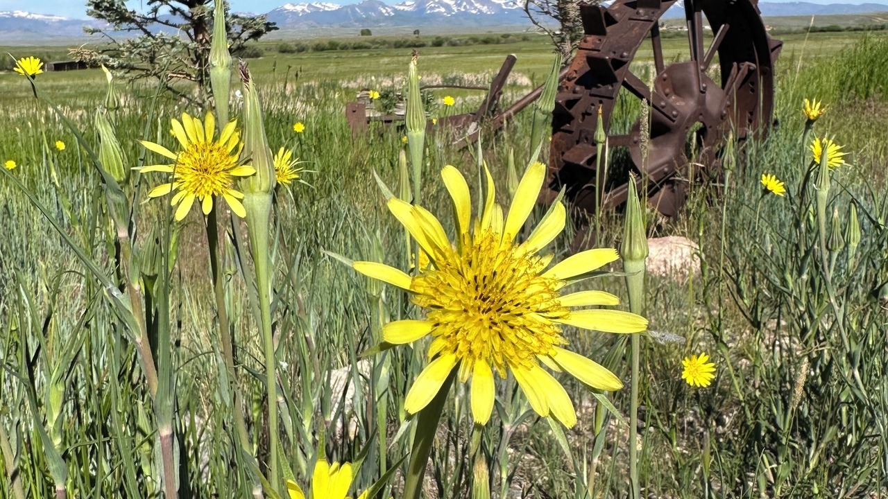 Photo of Outdoor in Walden