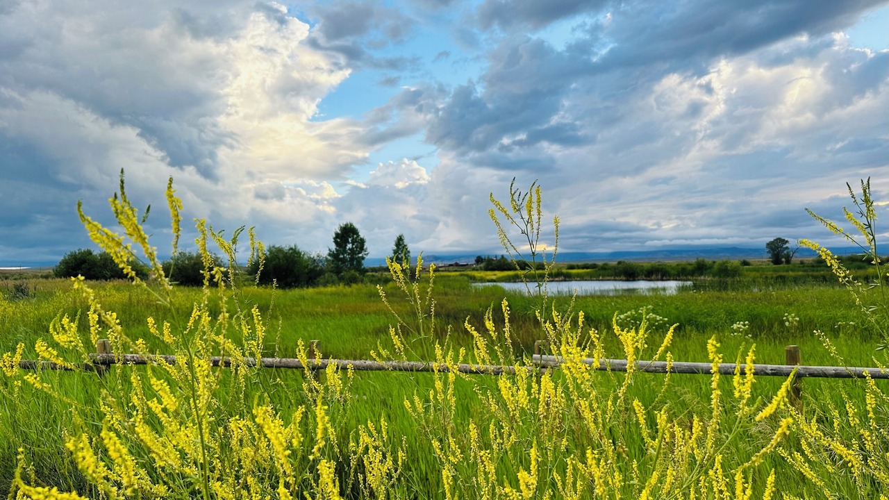 Photo of Outdoor in Walden