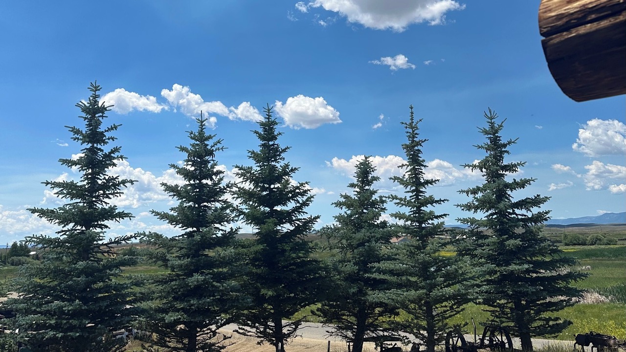Photo of Outdoor in Walden