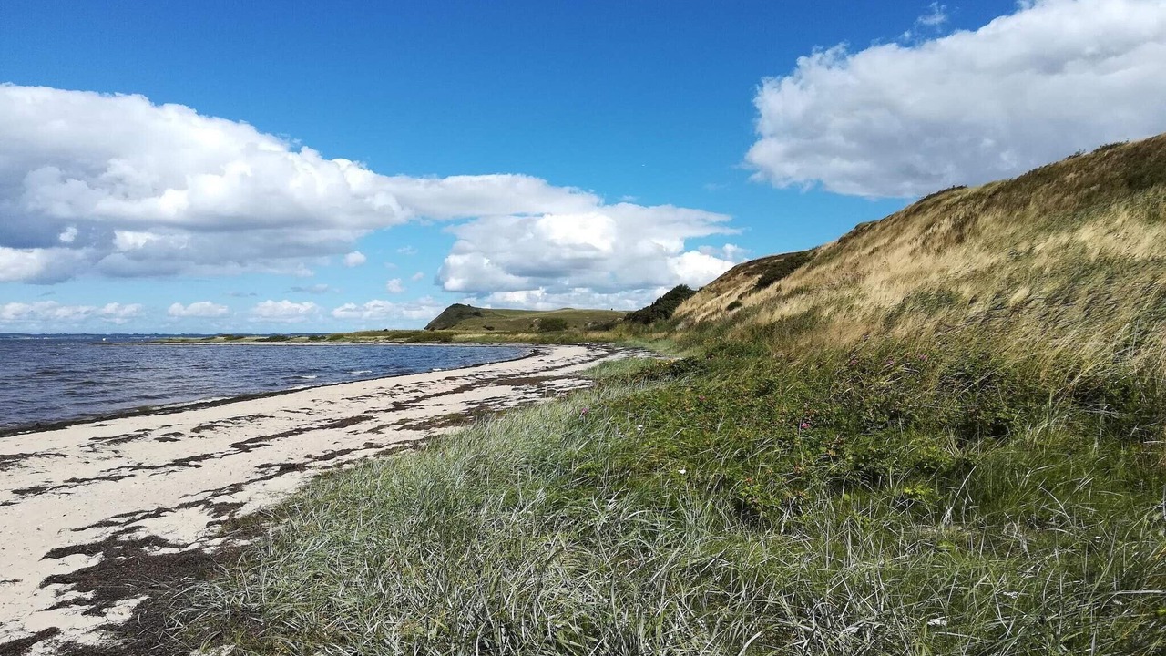 Photo of Others in Sundstrup