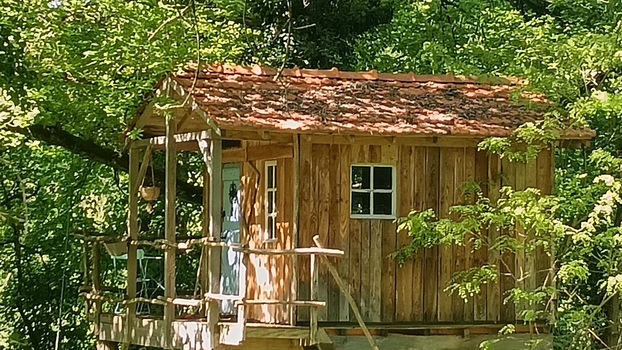 Photo of Outdoor in Lisle