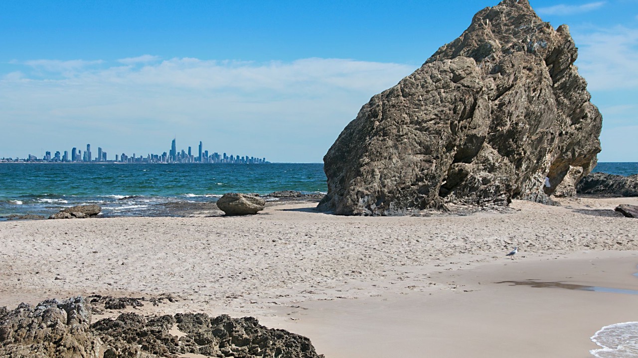 Photo of Others in Palm Beach