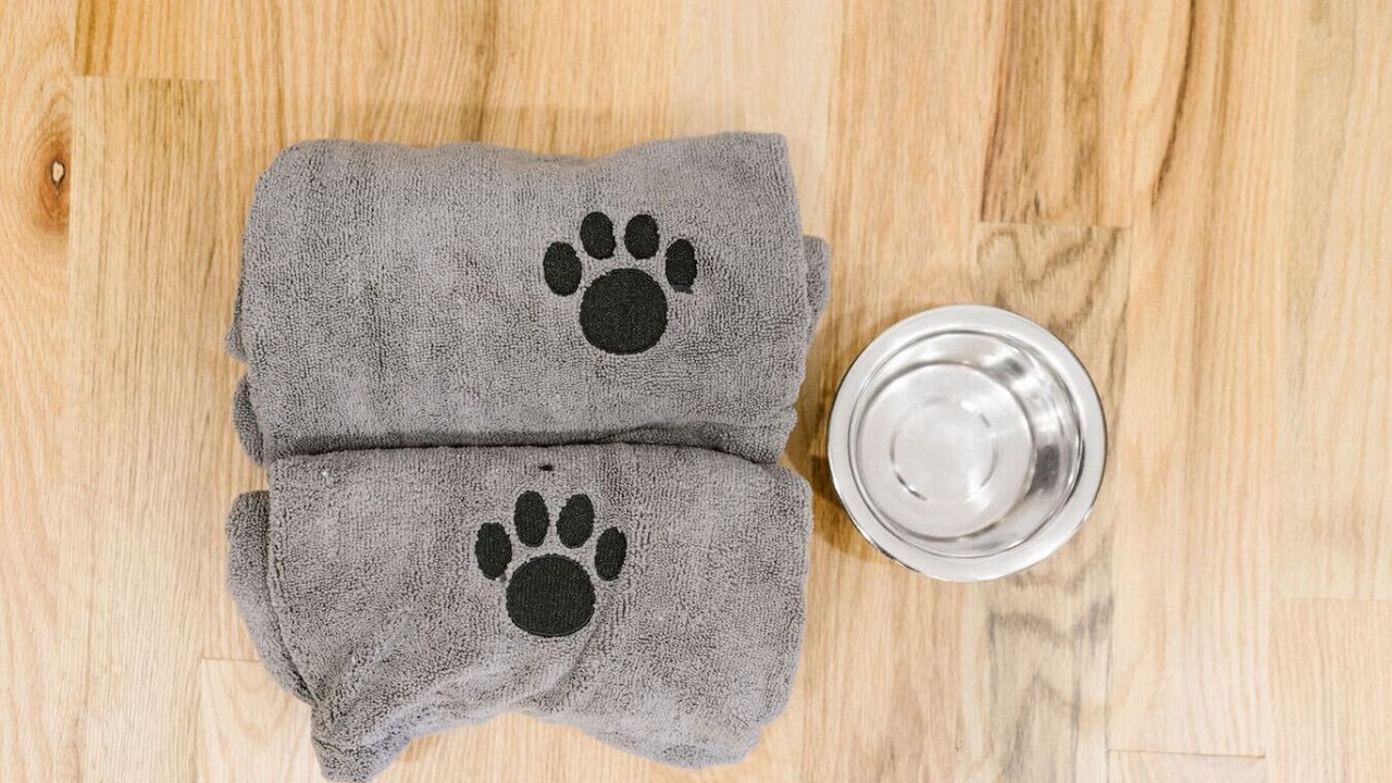 Photo of Others in North Spearfish