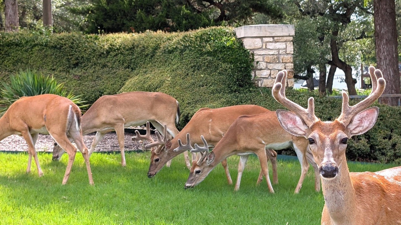 Photo of Others in Highland Lake Estates