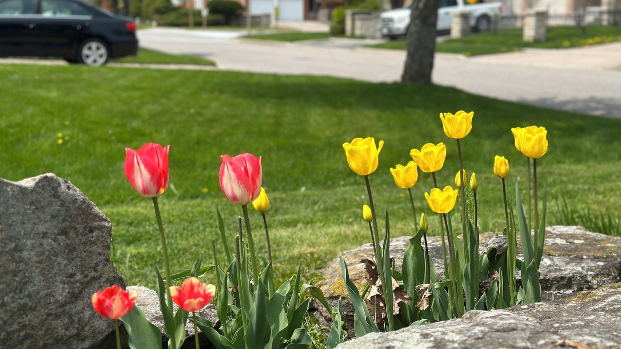 Photo of Outdoor in Unionville