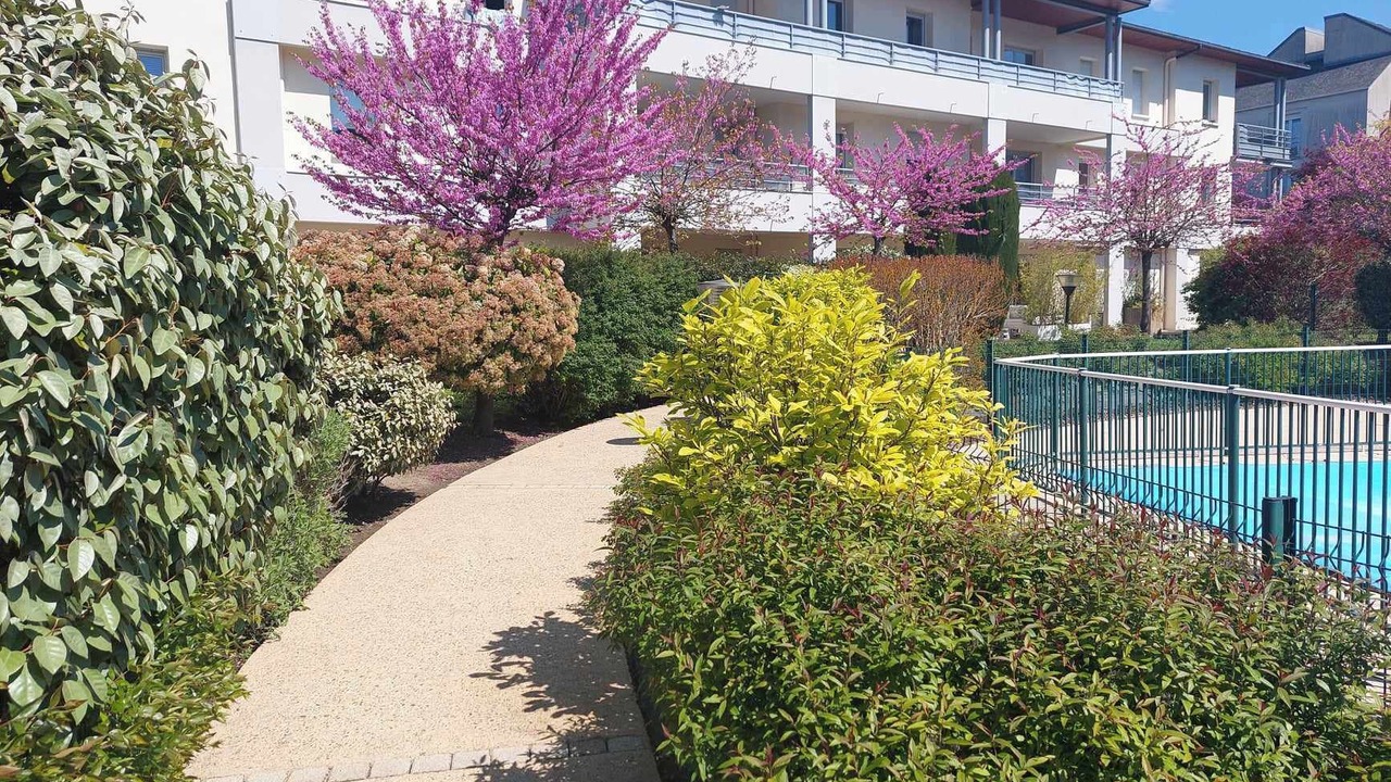 Photo of Outdoor in Tours