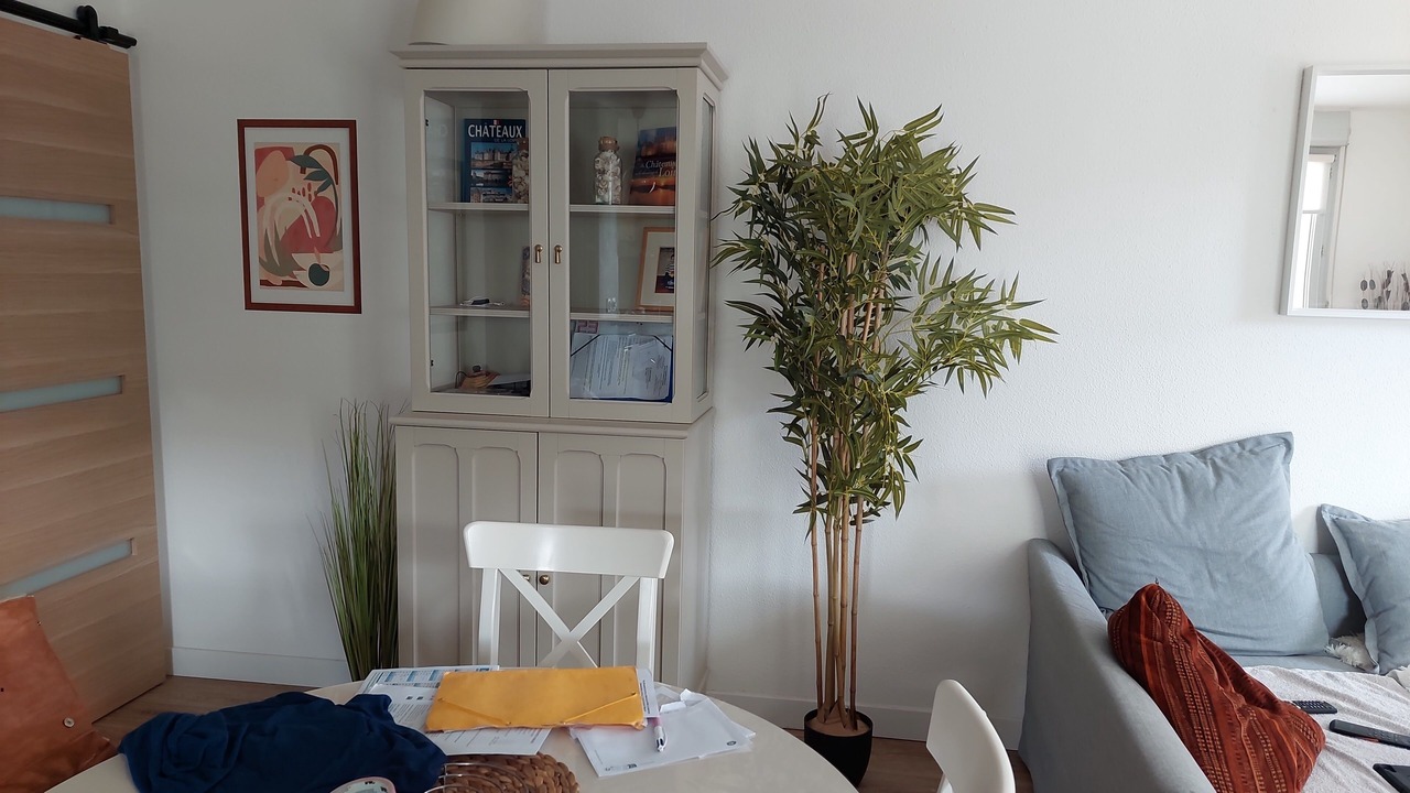 Photo of Others in Tours