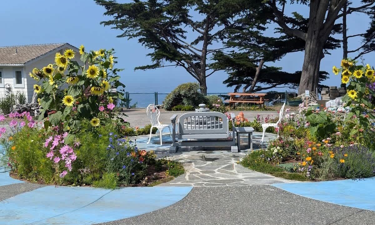 Photo of Outdoor in Brookings