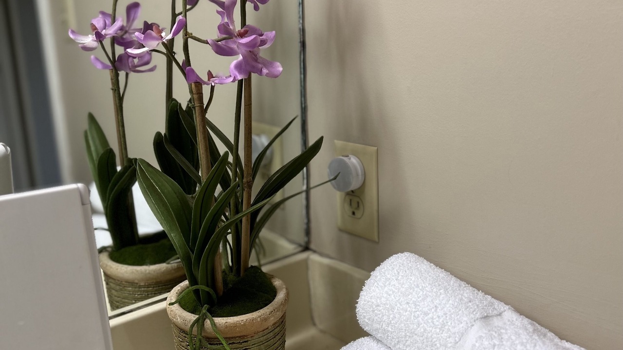Photo of Bathroom in Pangburn