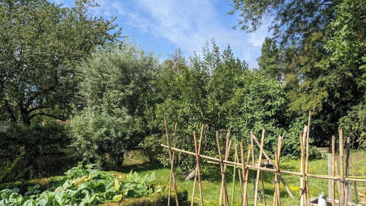 Photo of Outdoor in La Chapelle la Reine