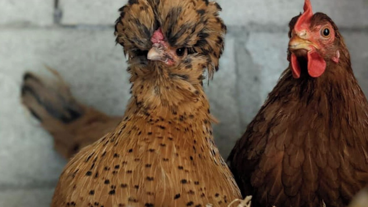 Photo of Others in La Chapelle la Reine