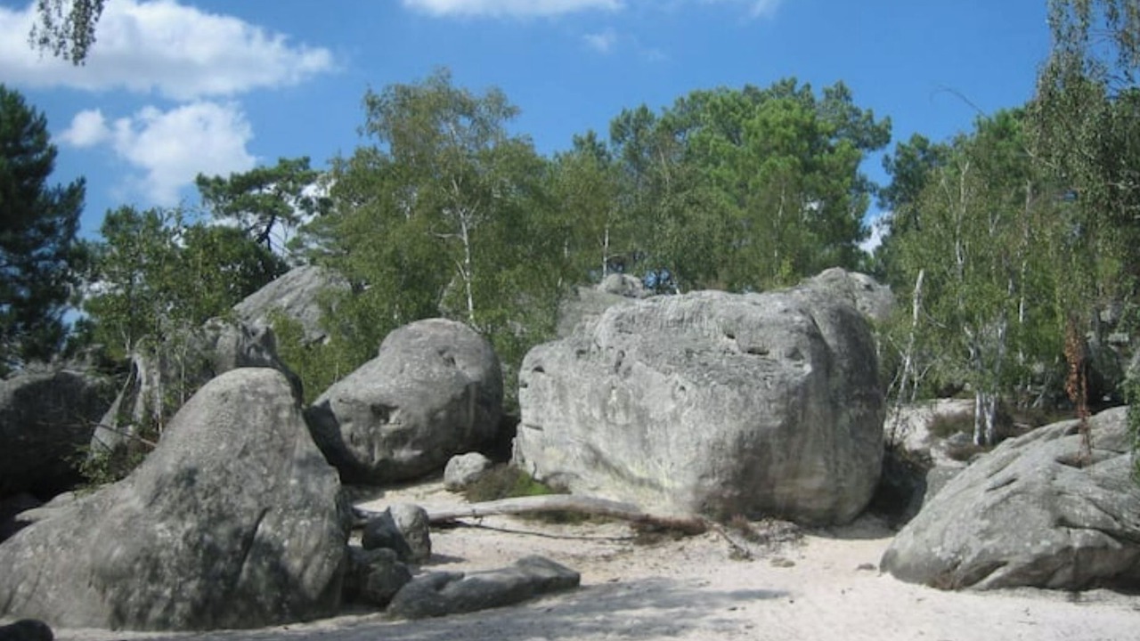 Photo of Others in La Chapelle la Reine