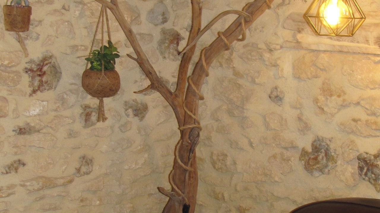 Photo of Others in Montagnac-sur-Lede