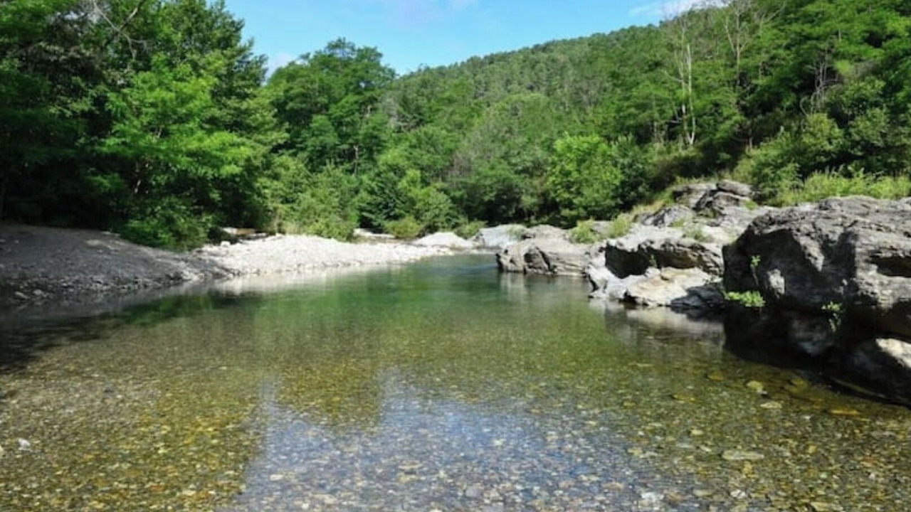 Photo of Others in Cendras