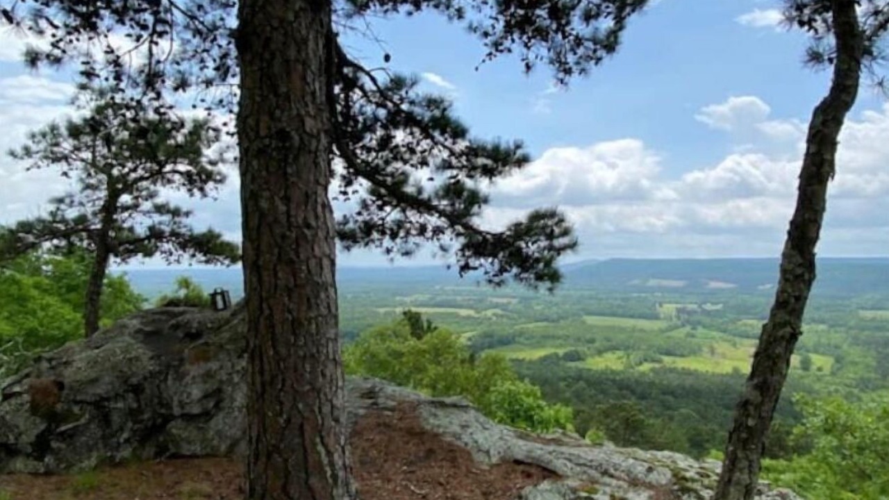 Photo of Outdoor in Morrilton