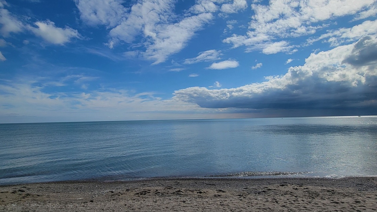 Photo of Others in Port Stanley