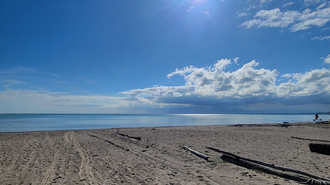 Photo of Others in Port Stanley