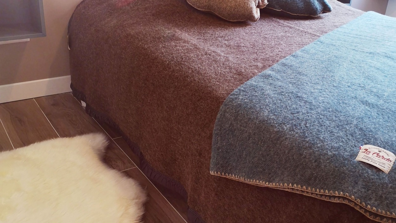 Photo of Bedroom in Esquieze-Sere