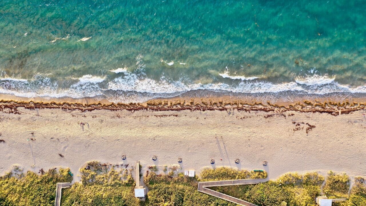 Photo of Others in Boynton Beach