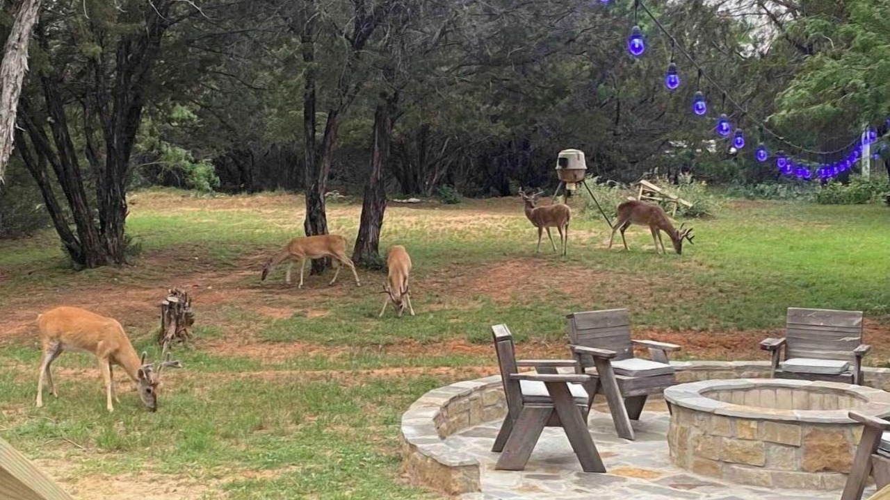 Photo of Outdoor in Graford