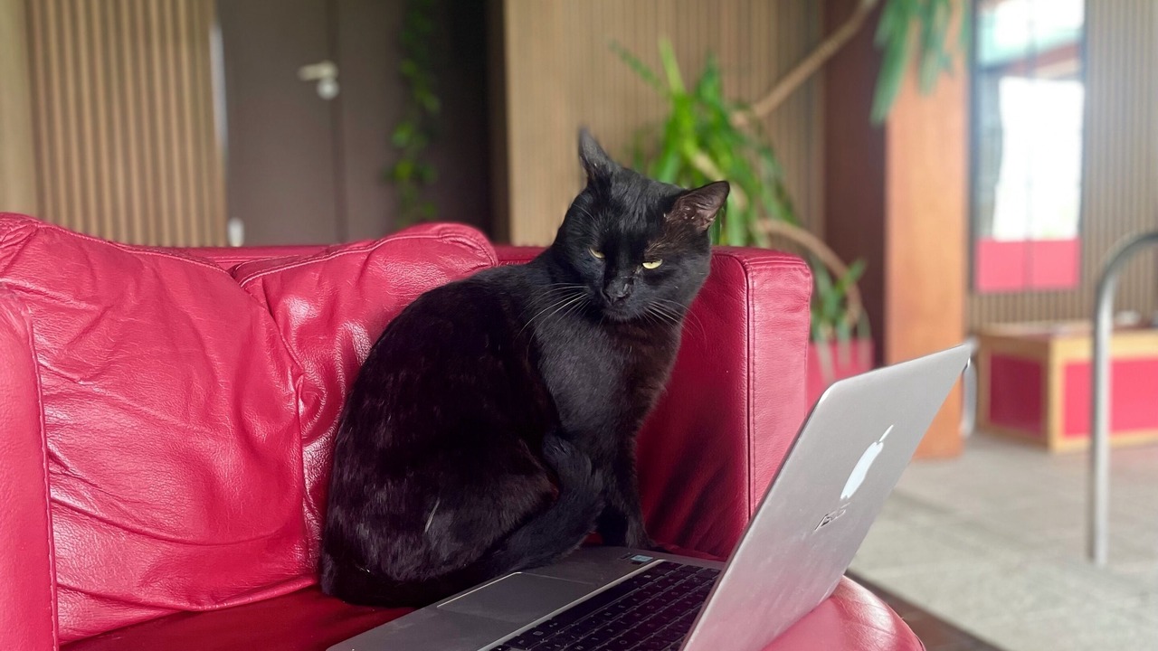 Photo of Others in Lucinges