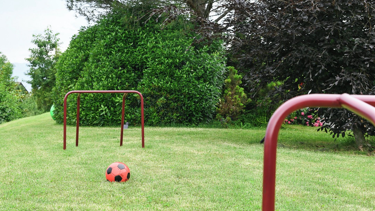 Photo of Others in Lucinges