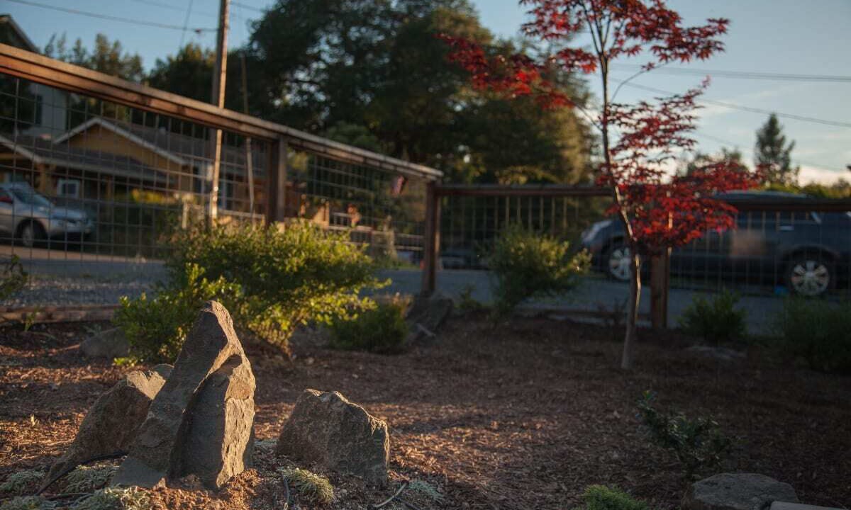 Photo of Outdoor in Forestville