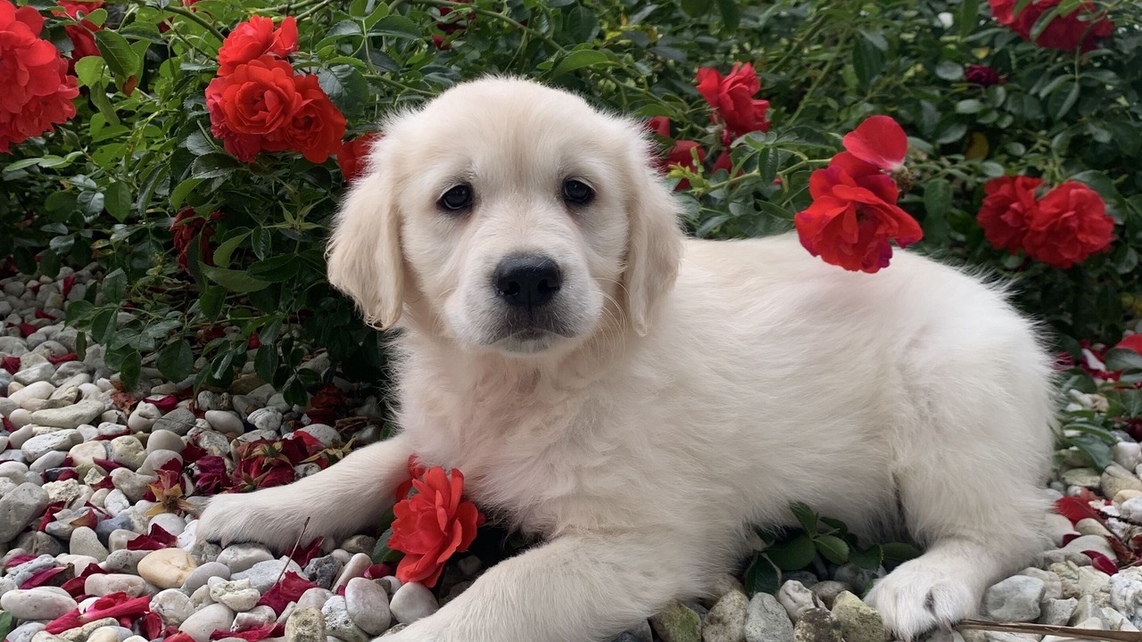 Photo of Outdoor in Verruyes