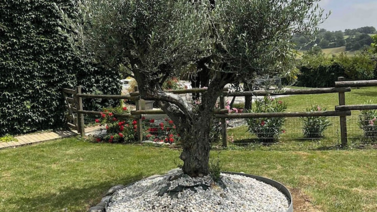 Photo of Outdoor in Verruyes