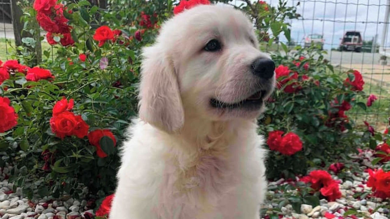 Photo of Others in Verruyes