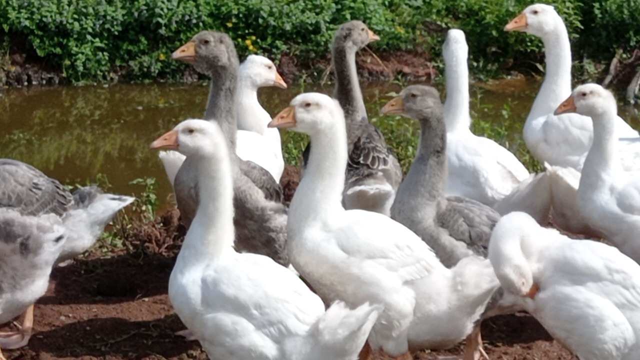 Photo of Outdoor in Le Saulcy