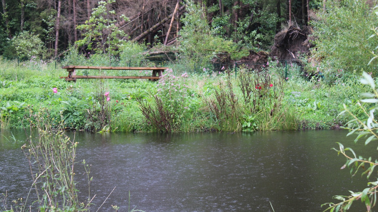 Photo of Outdoor in Le Saulcy