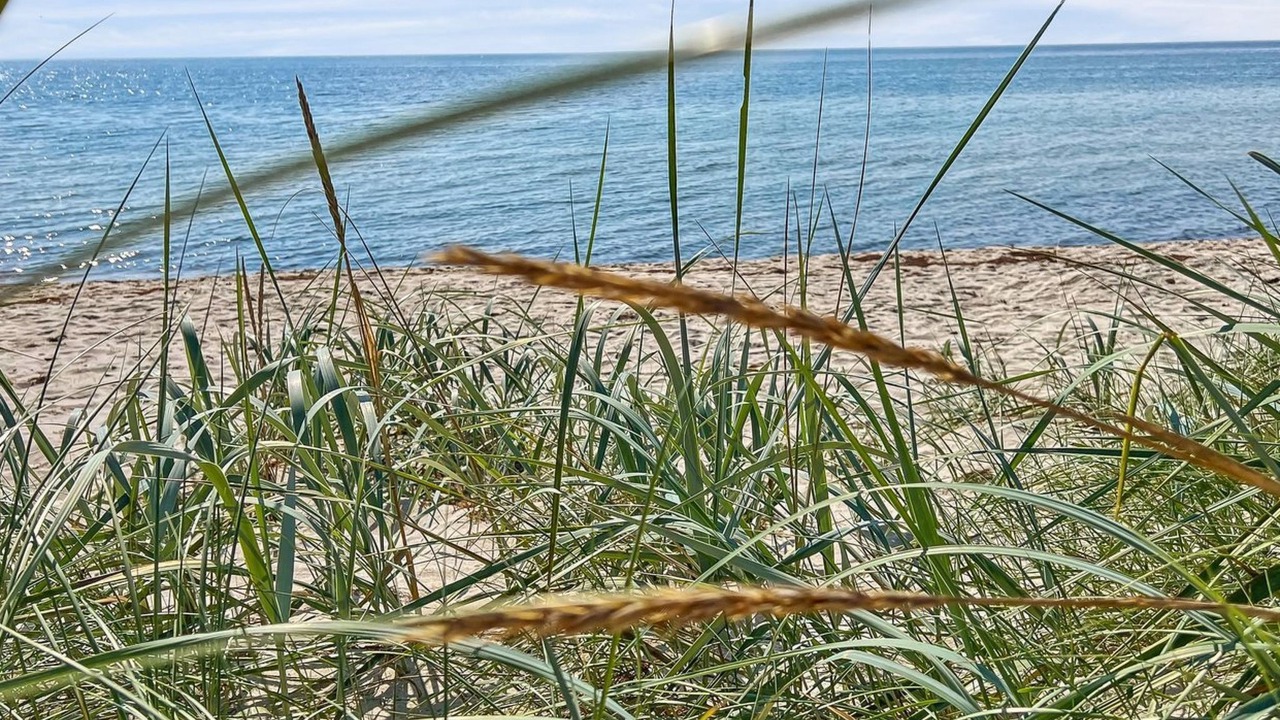 Photo of Outdoor in Pedersker