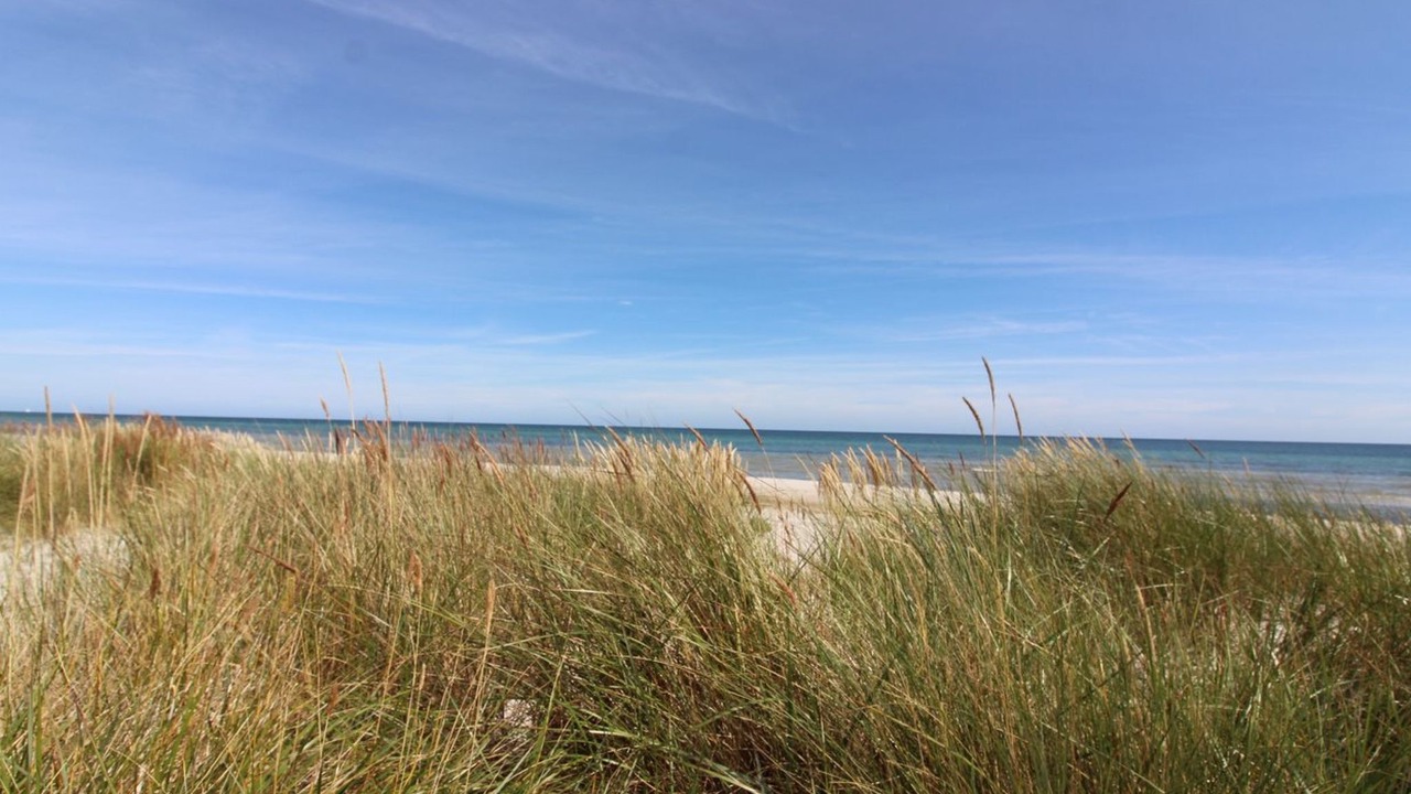 Photo of Outdoor in Pedersker