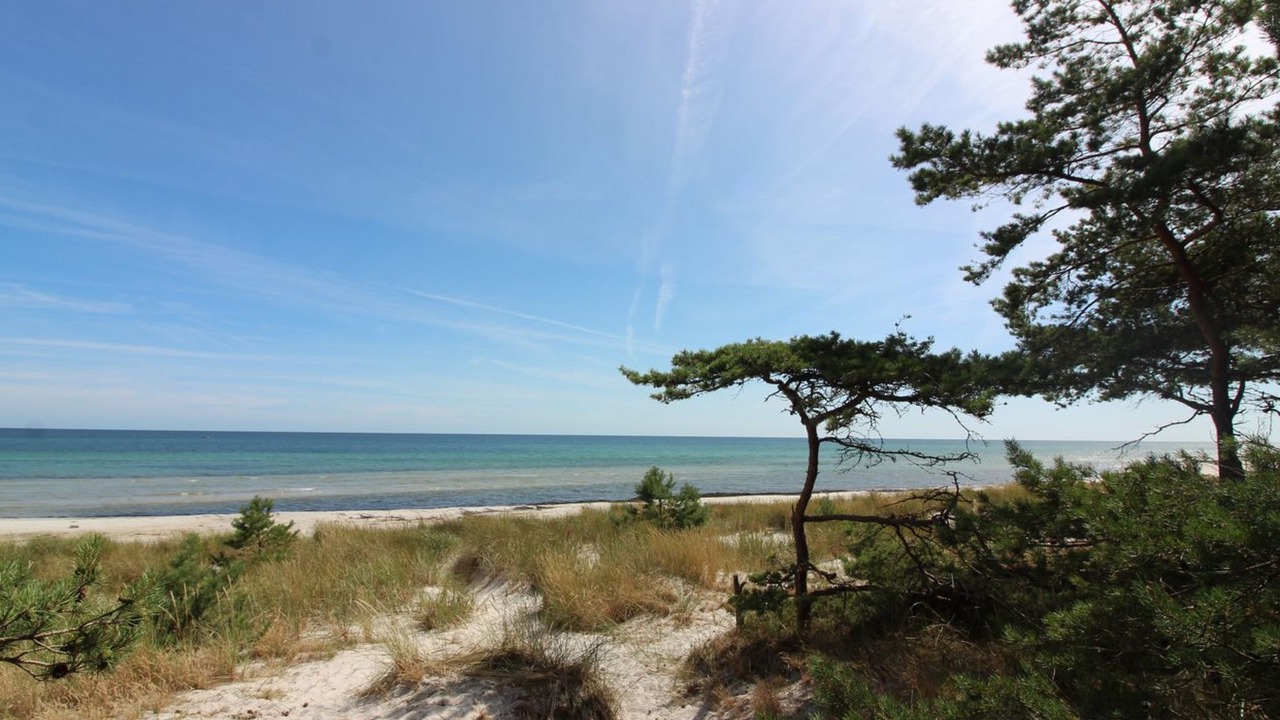 Photo of Outdoor in Pedersker