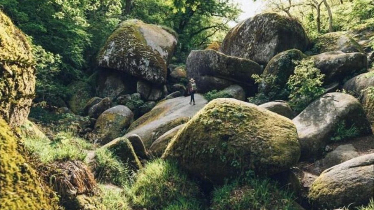 Photo of Outdoor in Le Vieux-Marche
