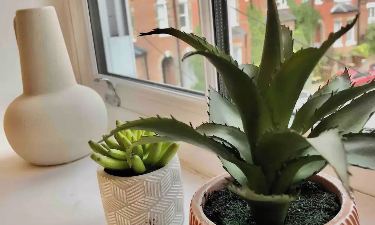 Photo of Others in Royal Tunbridge Wells