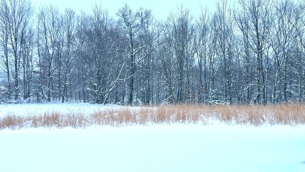 Photo of Others in Wilderness